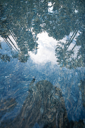 A Reflection of Things Above