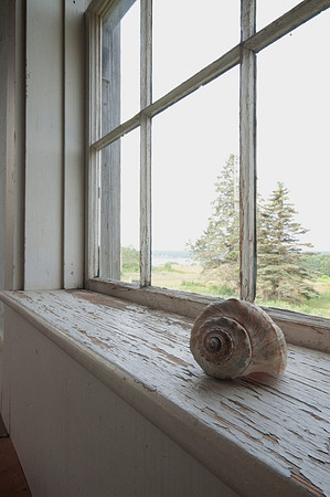 She Sells Sea Shells