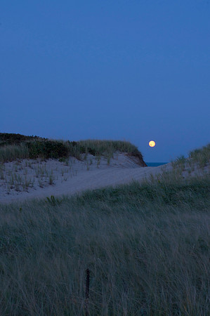The Harvest Moon