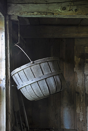 Waiting for Harvest Season