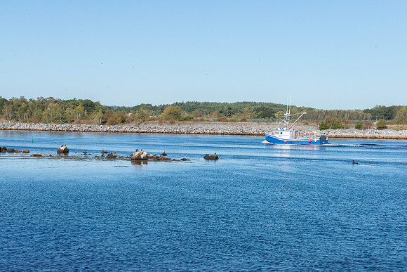 Nova Scotia-Liverpool Lobster Boat